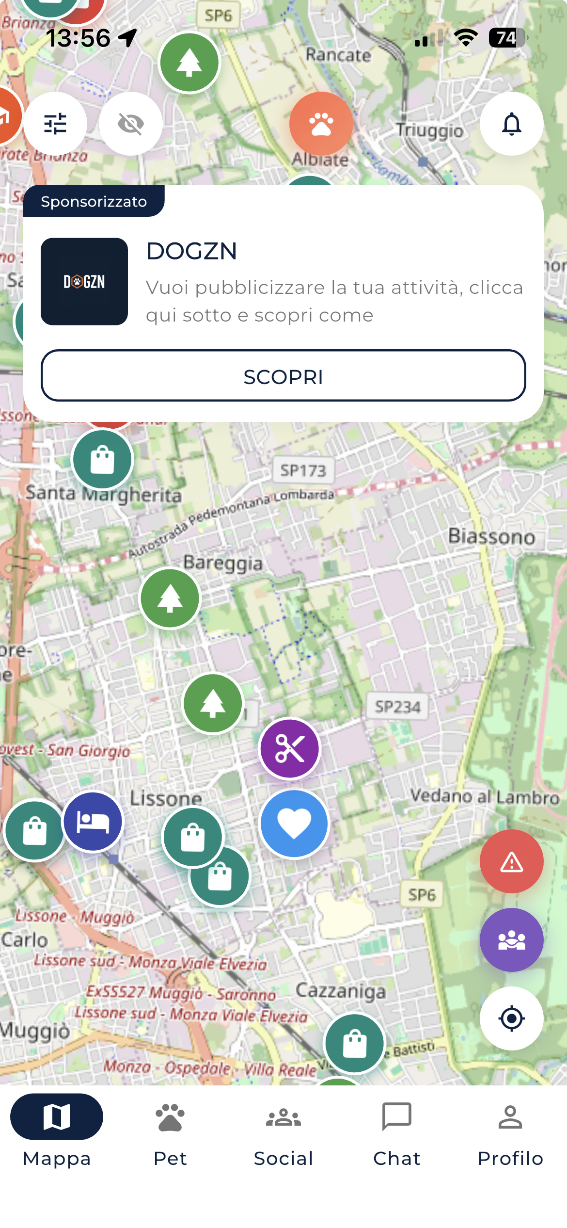 DOGZN App Screenshot